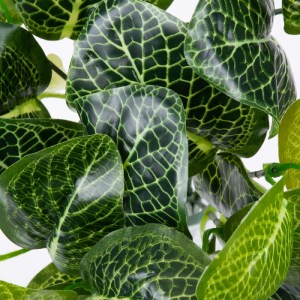 glo-78300-78300_2 GLOBOSTAR® NERVE PLANT 78300 ΤΕΧΝΗΤΟ ΦΥΤΟ ΦΙΤΟΝΙΑ - ΜΠΟΥΚΕΤΟ ΔΙΑΚΟΣΜΗΤΙΚΩΝ ΦΥΤΩΝ - ΚΛΑΔΙΩΝ