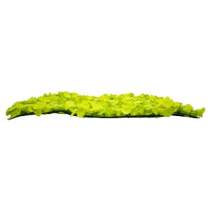 glo-78324-78324_2 GLOBOSTAR® 78324 ΣΥΝΘΕΤΙΚΟ ΠΑΝΕΛ ΛΟΥΛΟΥΔΙΩΝ - ΚΑΘΕΤΟΣ ΚΗΠΟΣ ΑΓΡΙΑ ΟΡΤΑΝΣΙΑ ΛΑΧΑΝΙ Μ60 X Υ4