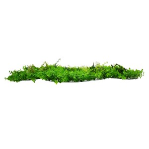 glo-78412-78412_2 GLOBOSTAR® 78412 ARTIFICIAL - ΣΥΝΘΕΤΙΚΟ ΤΕΧΝΗΤΟ ΔΙΑΚΟΣΜΗΤΙΚΟ ΠΑΝΕΛ ΦΥΛΛΩΣΙΑΣ - ΚΑΘΕΤΟΣ ΚΗΠ