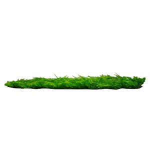 glo-78419-78419_2 GLOBOSTAR® 78419 ARTIFICIAL - ΣΥΝΘΕΤΙΚΟ ΤΕΧΝΗΤΟ ΔΙΑΚΟΣΜΗΤΙΚΟ ΠΑΝΕΛ ΦΥΛΛΩΣΙΑΣ - ΚΑΘΕΤΟΣ ΚΗΠ