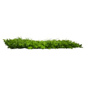 glo-78420-78420_2 GLOBOSTAR® 78420 ARTIFICIAL - ΣΥΝΘΕΤΙΚΟ ΤΕΧΝΗΤΟ ΔΙΑΚΟΣΜΗΤΙΚΟ ΠΑΝΕΛ ΦΥΛΛΩΣΙΑΣ - ΚΑΘΕΤΟΣ ΚΗΠ