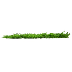 glo-78422-78422_2 GLOBOSTAR® 78422 ARTIFICIAL - ΣΥΝΘΕΤΙΚΟ ΤΕΧΝΗΤΟ ΔΙΑΚΟΣΜΗΤΙΚΟ ΠΑΝΕΛ ΦΥΛΛΩΣΙΑΣ - ΚΑΘΕΤΟΣ ΚΗΠ
