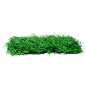 glo-78435-78435_4 GLOBOSTAR® 78435 ARTIFICIAL - ΣΥΝΘΕΤΙΚΟ ΤΕΧΝΗΤΟ ΔΙΑΚΟΣΜΗΤΙΚΟ ΠΑΝΕΛ ΦΥΛΛΩΣΙΑΣ - ΚΑΘΕΤΟΣ ΚΗΠ
