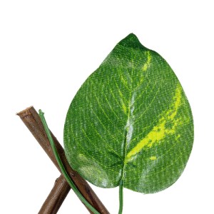 glo-78496-78496_4 GLOBOSTAR® ARTIFICIAL GARDEN GOLDEN POTHOS 78496 ΠΤΥΣΣΟΜΕΝΗ ΠΕΡΓΚΟΛΑ ΤΕΧΝΗΤΗΣ ΦΥΛΛΩΣΙΑΣ - 