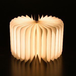 glo-79636-79636_3 GLOBOSTAR® BOOKDECO 79636 ΜΟΝΤΕΡΝΟ ΕΠΙΤΡΑΠΕΖΙΟ ΦΩΤΙΣΤΙΚΟ ΠΟΡΤΑΤΙΦ LED 4W 250LM 180° DC 5V 