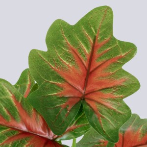 glo-S-78271-s_78271_2 GLOBOSTAR® CALADIUM S-78271 ΤΕΧΝΗΤΟ ΦΥΤΟ ΚΑΛΑΔΙΟ - ΜΠΟΥΚΕΤΟ ΔΙΑΚΟΣΜΗΤΙΚΩΝ ΦΥΤΩΝ - ΚΛΑΔΙΩΝ 