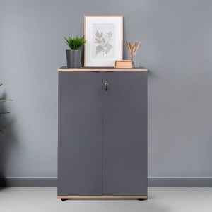 meg-GP009-0284,1-1 ΝΤΟΥΛΑΠΙ ΓΡΑΦΕΙΟΥ RIO MEGAPAP ΜΕ ΚΛΕΙΔΑΡΙΑ ΧΡΩΜΑ ΑΝΘΡΑΚΙ 72X34X109ΕΚ.