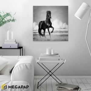 meg-GP033-0088-1 ΠΙΝΑΚΑΣ ΣΕ ΚΑΜΒΑ 