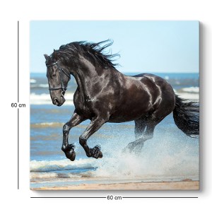 meg-GP033-0199-2 ΠΙΝΑΚΑΣ ΣΕ ΚΑΜΒΑ 