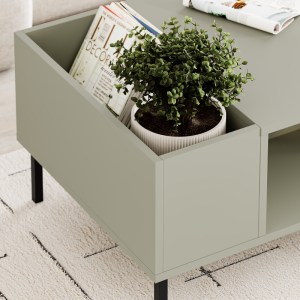 meg-GP037-0259,1-3 ΤΡΑΠΕΖΑΚΙ ΣΑΛΟΝΙΟΥ VENA MEGAPAP ΧΡΩΜΑ ASH GREEN 100X60X42ΕΚ.