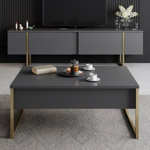 meg-GP052-0117,5-2 ΕΠΙΠΛΟ ΤΗΛΕΟΡΑΣΗΣ LUXE MEGAPAP ΧΡΩΜΑ ΑΝΘΡΑΚΙ - ΧΡΥΣΟ 180X30X50ΕΚ.