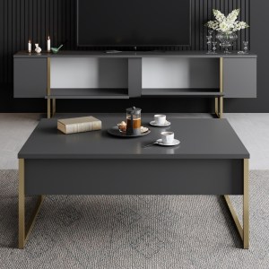 meg-GP052-0117,5-3 ΕΠΙΠΛΟ ΤΗΛΕΟΡΑΣΗΣ LUXE MEGAPAP ΧΡΩΜΑ ΑΝΘΡΑΚΙ - ΧΡΥΣΟ 180X30X50ΕΚ.