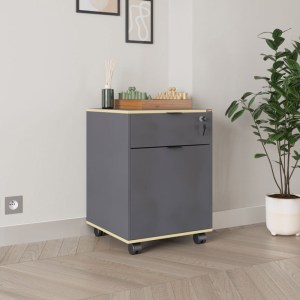 pak-039-000205-1 ΣΥΡΤΑΡΙΕΡΑ ΓΡΑΦΕΙΟΥ ΤΡΟΧΗΛΑΤΗ TAKER  PAKOWORLD ΣΕ ΑΝΘΡΑΚΙ ΑΠΟΧΡΩΣΗ 41X45X61ΕΚ