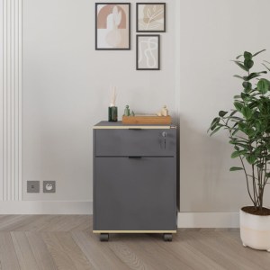 pak-039-000205-2 ΣΥΡΤΑΡΙΕΡΑ ΓΡΑΦΕΙΟΥ ΤΡΟΧΗΛΑΤΗ TAKER  PAKOWORLD ΣΕ ΑΝΘΡΑΚΙ ΑΠΟΧΡΩΣΗ 41X45X61ΕΚ
