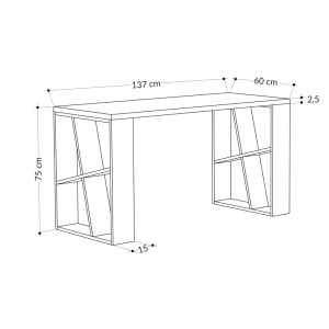 pak-119-001251-2 ΓΡΑΦΕΙΟ HONEY PAKOWORLD ΣΕ ΛΕΥΚΗ-ΑΝΘΡΑΚΙ ΑΠΟΧΡΩΣΗ 137X60X75ΕΚ