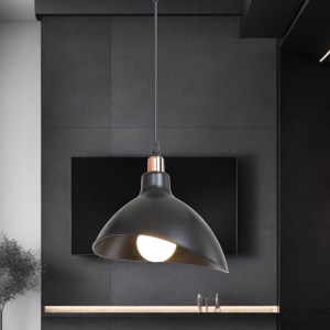 pak-147-000171-1 ΦΩΤΙΣΤΙΚΟ ΟΡΟΦΗΣ ΜΟΝΟΦΩΤΟ OUFOA PAKOWORLD PP ΣΕ ΜΑΥΡΗ ΑΠΟΧΡΩΣΗ Φ22X53ΕΚ
