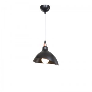 pak-147-000171-2 ΦΩΤΙΣΤΙΚΟ ΟΡΟΦΗΣ ΜΟΝΟΦΩΤΟ OUFOA PAKOWORLD PP ΣΕ ΜΑΥΡΗ ΑΠΟΧΡΩΣΗ Φ22X53ΕΚ