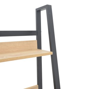 pak-197-000293-3 ΒΙΒΛΙΟΘΗΚΗ RYDER PAKOWORLD ΣΕ OAK-ΜΑΥΡΗ ΑΠΟΧΡΩΣΗ 75X36X185ΕΚ
