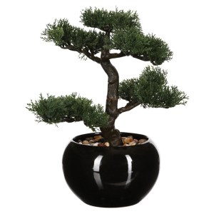 pak-199-000469 ΦΥΤΟ ΣΕ ΓΛΑΣΤΡΑ GREEN18 PAKOWORLD 35X32X34ΕΚ