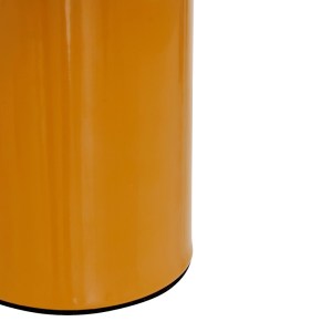 pak-199-000681-3 ΕΠΙΤΡΑΠΕΖΙΟ ΦΩΤΙΣΤΙΚΟ MUSHI PAKOWORLD ΜΕΤΑΛΛΟ ΣΕ ΚΙΤΡΙΝΗ ΑΠΟΧΡΩΣΗ Φ20X24,5ΕΚ