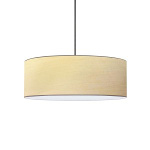 pak-202-000161 ΦΩΤΙΣΤΙΚΟ ΟΡΟΦΗΣ RUFIO PAKOWORLD Ε27 ΣΕ ΜΠΕΖ-ΚΑΦΕ ΑΠΟΧΡΩΣΗ Φ50X20ΕΚ