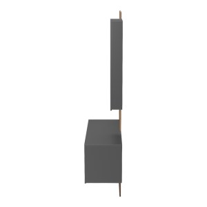 pak-230-000088-4 ΕΠΙΠΛΟ ΕΙΣΟΔΟΥ ΜΕ ΚΑΘΡΕΠΤΗ ARIKA PAKOWORLD  ΣΕ OAK-ΑΝΘΡΑΚΙ ΑΠΟΧΡΩΣΗ 100X37.1X199.5ΕΚ