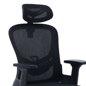pak-275-000006-4 ΚΑΡΕΚΛΑ ΓΡΑΦΕΙΟΥ ΔΙΕΥΘΥΝΤΗ IGNATIUS PAKOWORLD MESH ΜΑΥΡΟ