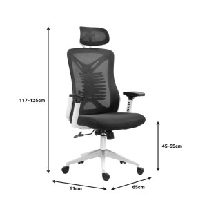 pak-275-000016-10 ΚΑΡΕΚΛΑ ΓΡΑΦΕΙΟΥ ΔΙΕΥΘΥΝΤΗ ANDREW PAKOWORLD MESH ΑΝΘΡΑΚΙ 65X61X125ΕΚ