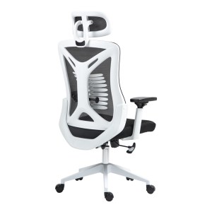 pak-275-000016-1 ΚΑΡΕΚΛΑ ΓΡΑΦΕΙΟΥ ΔΙΕΥΘΥΝΤΗ ANDREW PAKOWORLD MESH ΑΝΘΡΑΚΙ 65X61X125ΕΚ