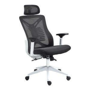 pak-275-000016-2 ΚΑΡΕΚΛΑ ΓΡΑΦΕΙΟΥ ΔΙΕΥΘΥΝΤΗ ANDREW PAKOWORLD MESH ΑΝΘΡΑΚΙ 65X61X125ΕΚ