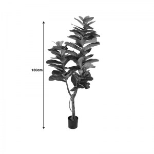 pak-316-000002-3 ΔΙΑΚΟΣΜΗΤΙΚΟ ΦΥΤΟ FIDDLEHEAD I ΣΕ ΓΛΑΣΤΡΑ INART ΠΡΑΣΙΝΟ PP Υ180ΕΚ