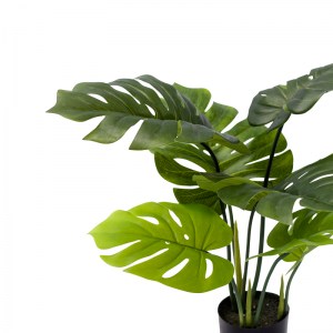 pak-316-000003-1 ΔΙΑΚΟΣΜΗΤΙΚΟ ΦΥΤΟ MONSTERA ΣΕ ΓΛΑΣΤΡΑ INART ΠΡΑΣΙΝΟ PP Υ70ΕΚ