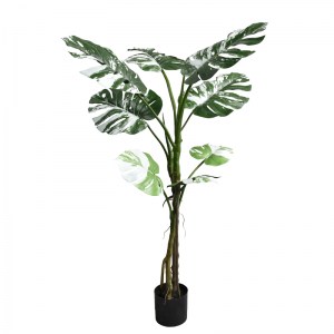 pak-316-000005 ΔΙΑΚΟΣΜΗΤΙΚΟ ΦΥΤΟ ΣΕ ΓΛΑΣΤΡΑ MONSTERA II INART ΠΡΑΣΙΝΟ PP Υ132ΕΚ