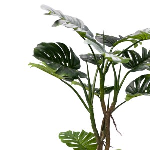 pak-316-000006-1 ΔΙΑΚΟΣΜΗΤΙΚΟ ΦΥΤΟ ΣΕ ΓΛΑΣΤΡΑ MONSTERA III INART ΠΡΑΣΙΝΟ PP Υ180ΕΚ