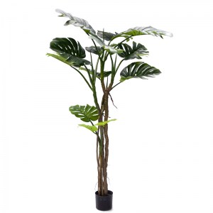 pak-316-000006 ΔΙΑΚΟΣΜΗΤΙΚΟ ΦΥΤΟ ΣΕ ΓΛΑΣΤΡΑ MONSTERA III INART ΠΡΑΣΙΝΟ PP Υ180ΕΚ