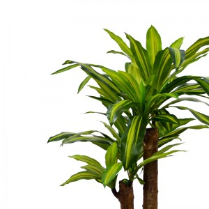 pak-316-000008-1 ΔΙΑΚΟΣΜΗΤΙΚΟ ΦΥΤΟ  DRACAENA ΣΕ ΓΛΑΣΤΡΑ INART ΠΡΑΣΙΝΟ PP Υ110ΕΚ