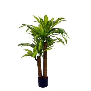 pak-316-000008 ΔΙΑΚΟΣΜΗΤΙΚΟ ΦΥΤΟ  DRACAENA ΣΕ ΓΛΑΣΤΡΑ INART ΠΡΑΣΙΝΟ PP Υ110ΕΚ