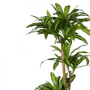 pak-316-000009-1 ΔΙΑΚΟΣΜΗΤΙΚΟ ΦΥΤΟ DRACAENA I ΣΕ ΓΛΑΣΤΡΑ INART  ΠΡΑΣΙΝΟ PP Υ170ΕΚ