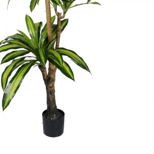 pak-316-000009-2 ΔΙΑΚΟΣΜΗΤΙΚΟ ΦΥΤΟ DRACAENA I ΣΕ ΓΛΑΣΤΡΑ INART  ΠΡΑΣΙΝΟ PP Υ170ΕΚ