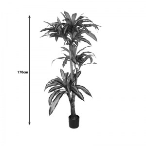 pak-316-000009-3 ΔΙΑΚΟΣΜΗΤΙΚΟ ΦΥΤΟ DRACAENA I ΣΕ ΓΛΑΣΤΡΑ INART  ΠΡΑΣΙΝΟ PP Υ170ΕΚ