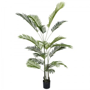 pak-316-000013 ΔΙΑΚΟΣΜΗΤΙΚΟ ΦΥΤΟ ARECA ΙΙΙ ΣΕ ΓΛΑΣΤΡΑ INART ΠΡΑΣΙΝΟ PP Υ180ΕΚ
