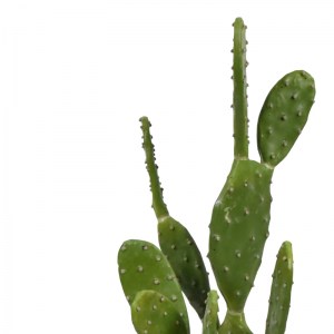 pak-316-000021-1 ΔΙΑΚΟΣΜΗΤΙΚΟ ΦΥΤΟ CACTUS ΣΕ ΓΛΑΣΤΡΑ INART ΠΡΑΣΙΝΟ PP Υ64ΕΚ