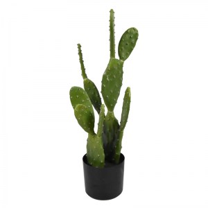 pak-316-000021 ΔΙΑΚΟΣΜΗΤΙΚΟ ΦΥΤΟ CACTUS ΣΕ ΓΛΑΣΤΡΑ INART ΠΡΑΣΙΝΟ PP Υ64ΕΚ
