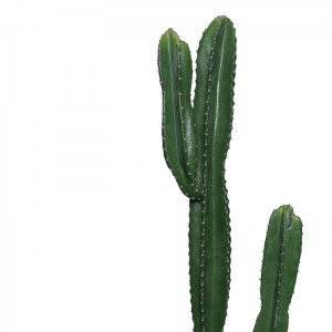 pak-316-000022-1 ΔΙΑΚΟΣΜΗΤΙΚΟ ΦΥΤΟ CACTUS I ΣΕ ΓΛΑΣΤΡΑ INART ΠΡΑΣΙΝΟ PP Υ155ΕΚ