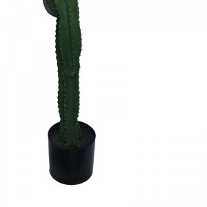 pak-316-000022-2 ΔΙΑΚΟΣΜΗΤΙΚΟ ΦΥΤΟ CACTUS I ΣΕ ΓΛΑΣΤΡΑ INART ΠΡΑΣΙΝΟ PP Υ155ΕΚ