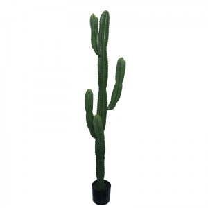 pak-316-000022 ΔΙΑΚΟΣΜΗΤΙΚΟ ΦΥΤΟ CACTUS I ΣΕ ΓΛΑΣΤΡΑ INART ΠΡΑΣΙΝΟ PP Υ155ΕΚ