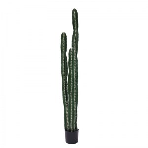 pak-316-000023 ΔΙΑΚΟΣΜΗΤΙΚΟ ΦΥΤΟ CACTUS II ΣΕ ΓΛΑΣΤΡΑ INART ΠΡΑΣΙΝΟ PP Υ155ΕΚ