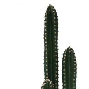 pak-316-000024-1 ΔΙΑΚΟΣΜΗΤΙΚΟ ΦΥΤΟ CACTUS III ΣΕ ΓΛΑΣΤΡΑ INART ΠΡΑΣΙΝΟ PP Υ85ΕΚ