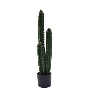 pak-316-000024 ΔΙΑΚΟΣΜΗΤΙΚΟ ΦΥΤΟ CACTUS III ΣΕ ΓΛΑΣΤΡΑ INART ΠΡΑΣΙΝΟ PP Υ85ΕΚ