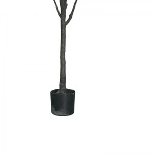 pak-316-000027-2 ΔΙΑΚΟΣΜΗΤΙΚΟ ΦΥΤΟ MANGOLA I ΣΕ ΓΛΑΣΤΡΑ INART ΛΕΥΚΟ PP Υ155ΕΚ